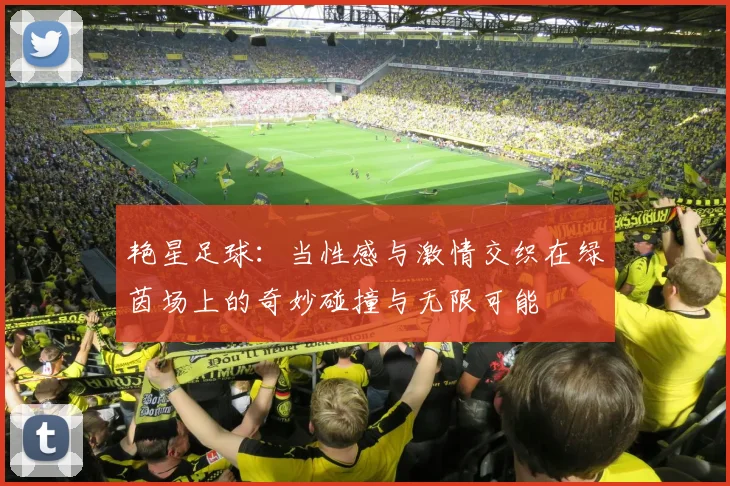 艳星足球：当性感与激情交织在绿茵场上的奇妙碰撞与无限可能